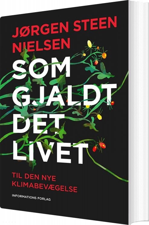 Klima   Jørgen Steen Nielsen   Bog