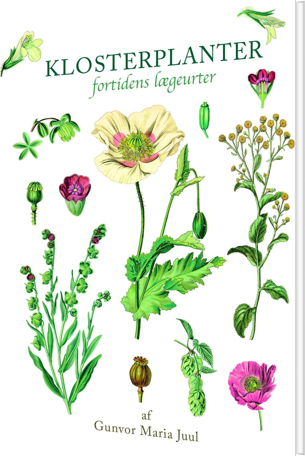 Klosterplanter   Gunvor Maria Juul   Bog