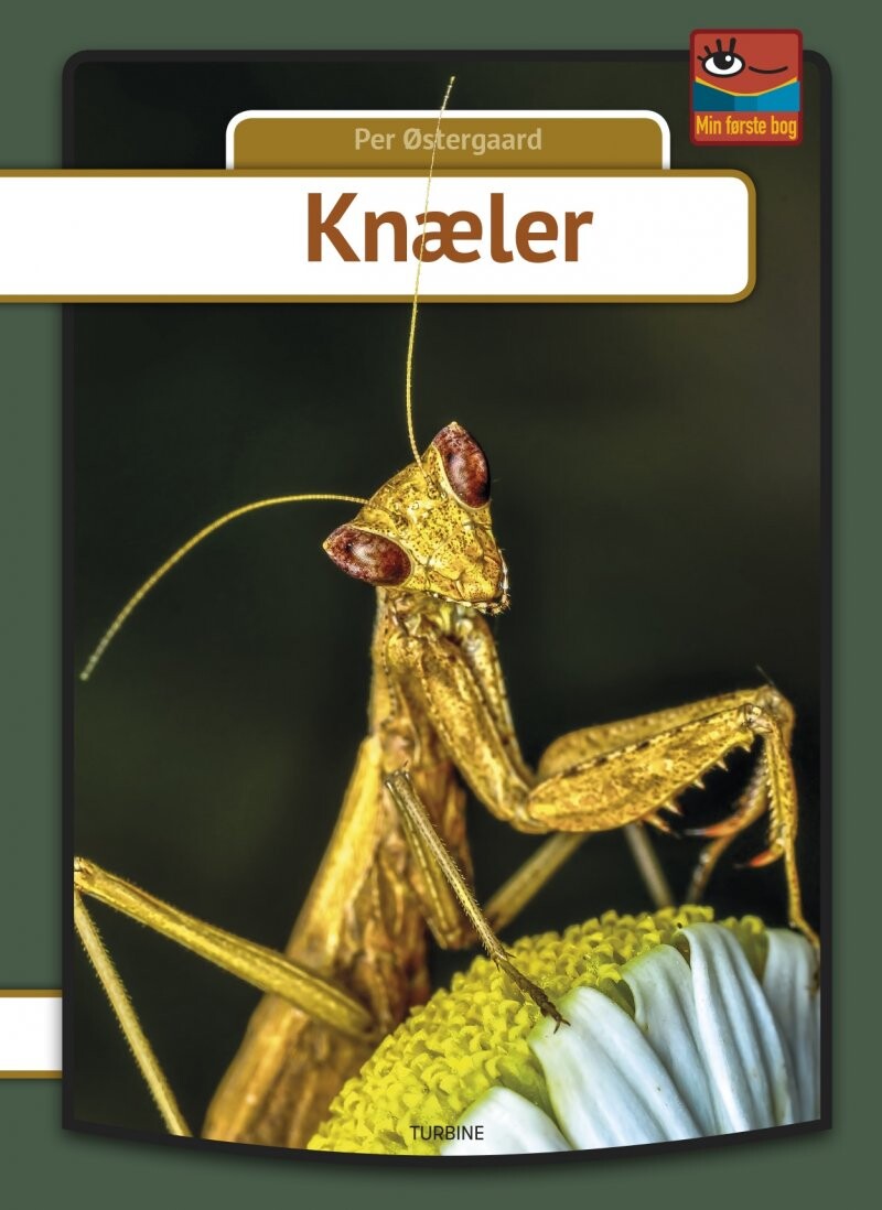 Knæler   Per østergaard   Bog
