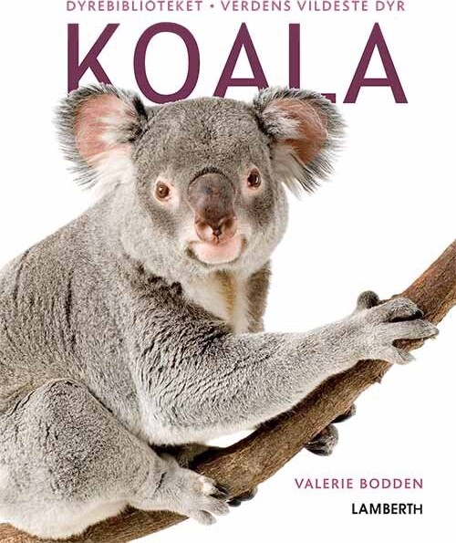 Koala   Valerie Bodden   Bog