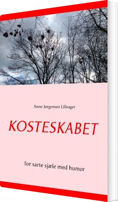 Kosteskabet   Anne Jørgensen Lilleager   Bog