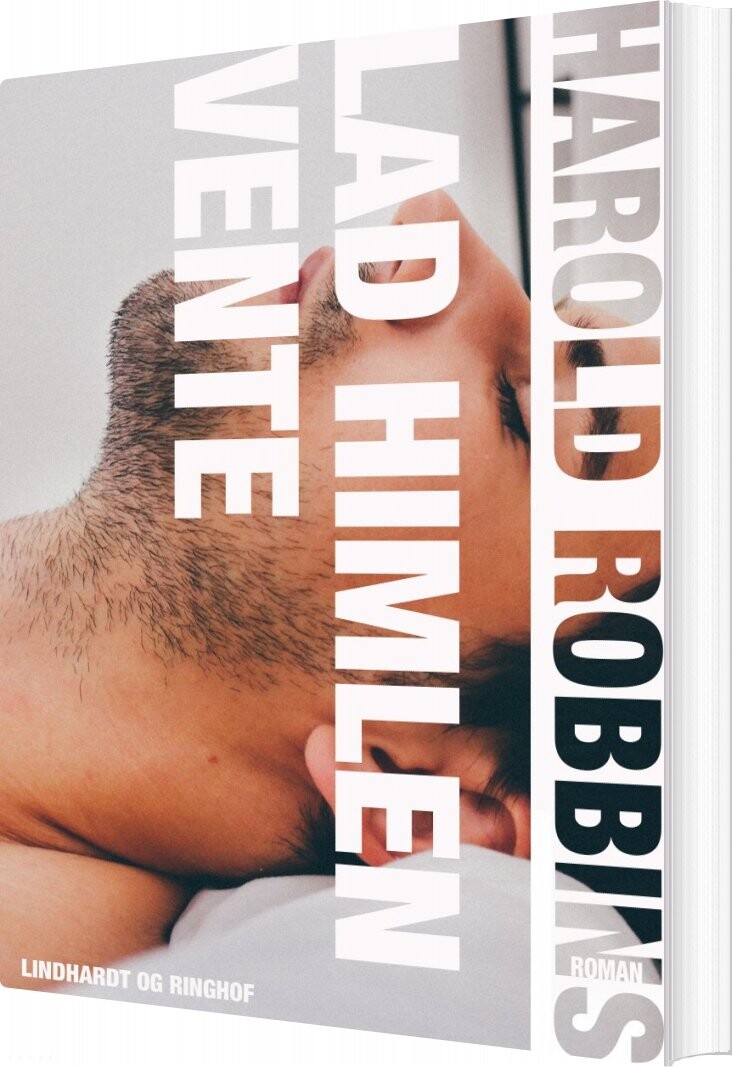 Lad Himlen Vente   Harold Robbins   Bog