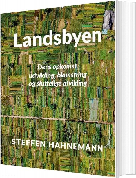 Landsbyen   Steffen Hahnemann   Bog