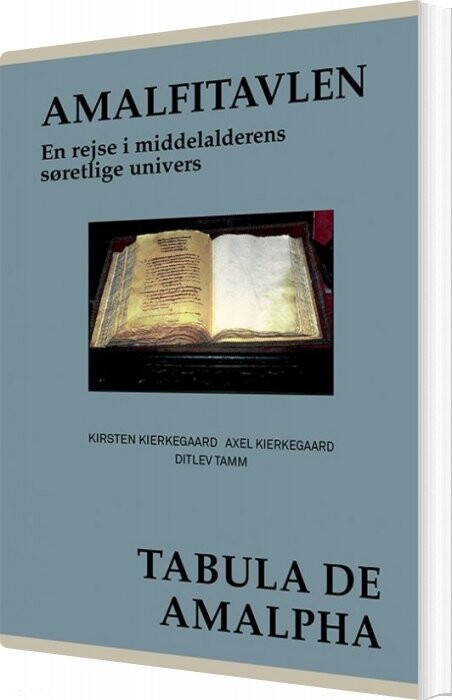Latinerkvarteretamalfitavlen   Ditlev Tamm   Bog