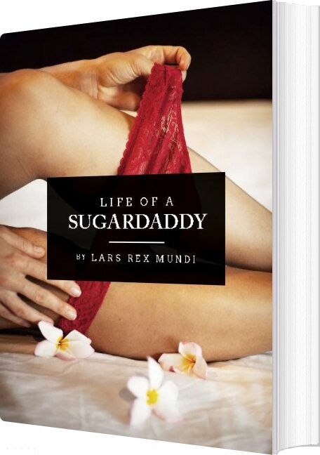 Life Of A Sugardaddy   Lars Rex Mundi   English Book