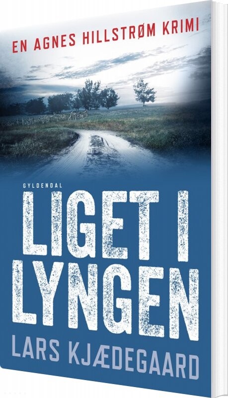 Liget I Lyngen   Lars Kjædegaard   Bog