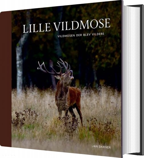 Lille Vildmose   Jan Skriver   Bog