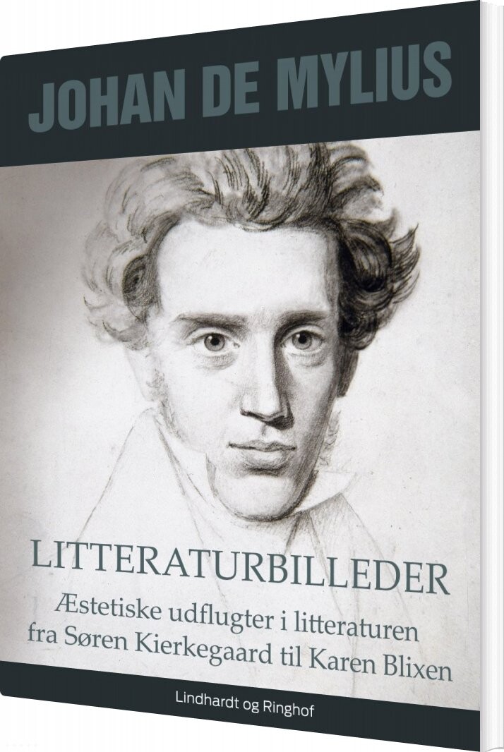 Litteraturbilleder   Johan De Mylius   Bog