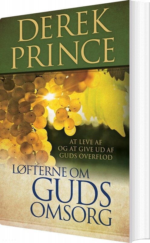 Løfterne Om Guds Omsorg   Derek Prince   Bog