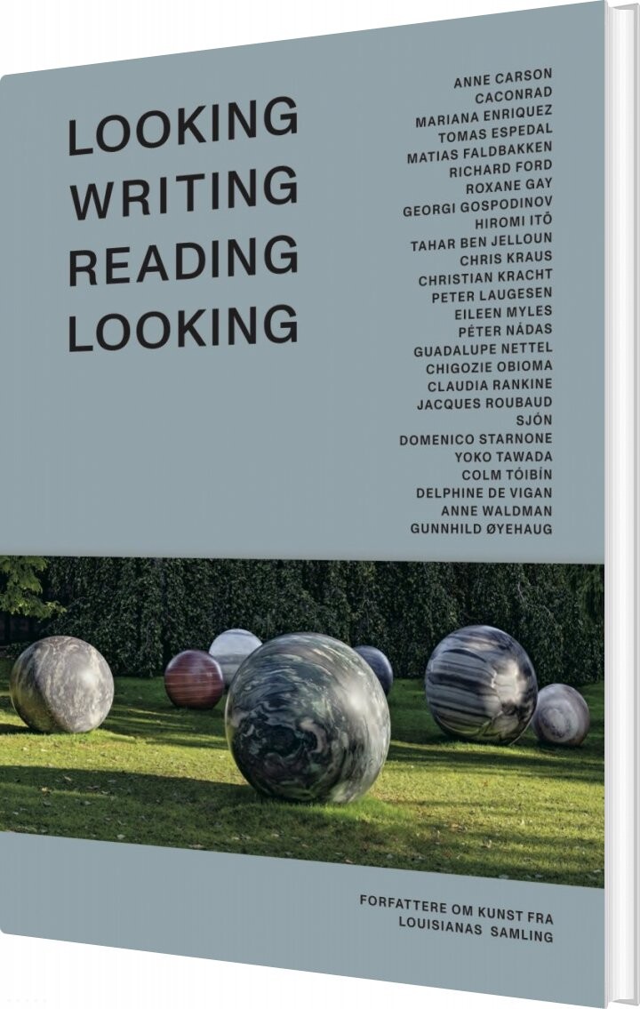 Looking Writing Reading Looking   Chris Kraus   Bog