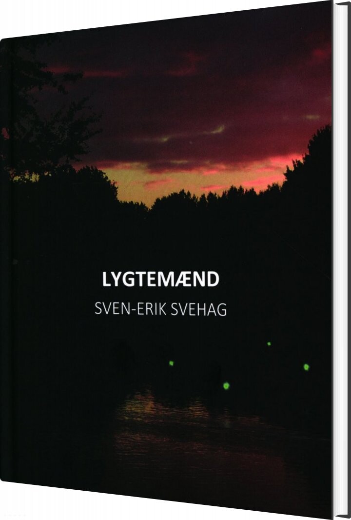 Lygtemænd   Sven Erik Svehag   Bog