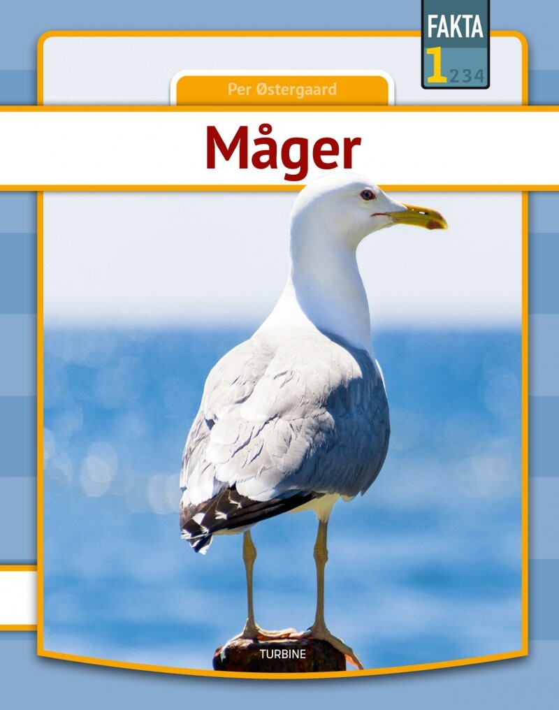 Måger   Per østergaard   Bog