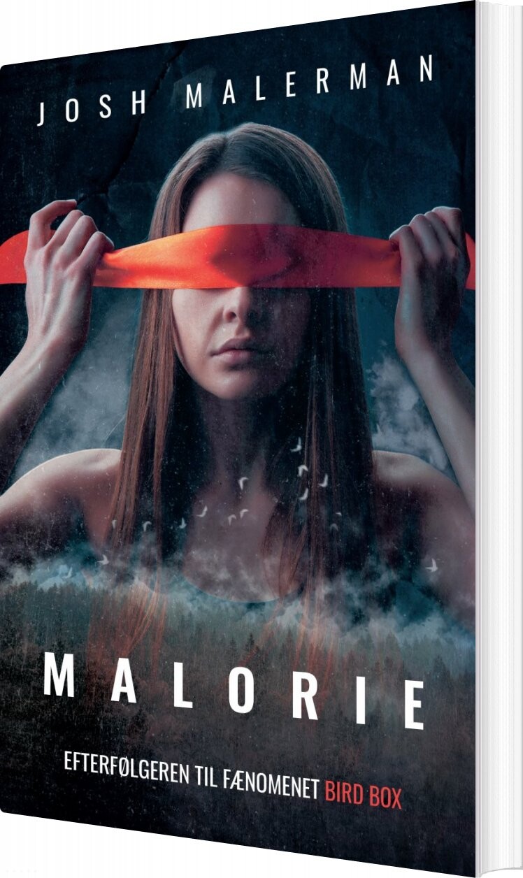 Malorie   Josh Malerman   Bog