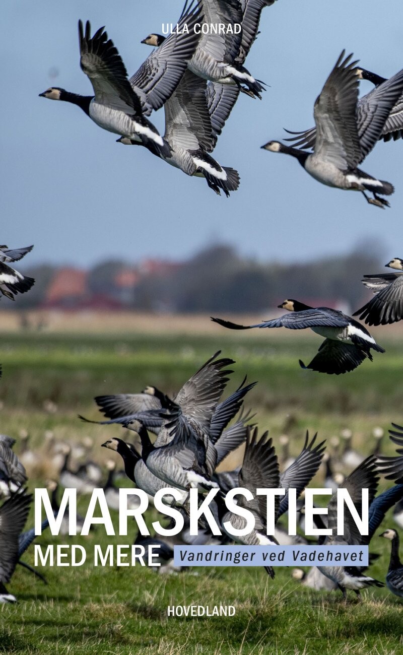 Marskstien   Ulla Conrad   Bog