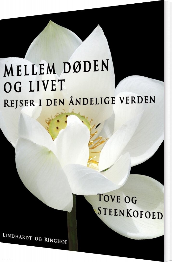 Mellem Døden Og Livet   Steen Kofoed   Bog