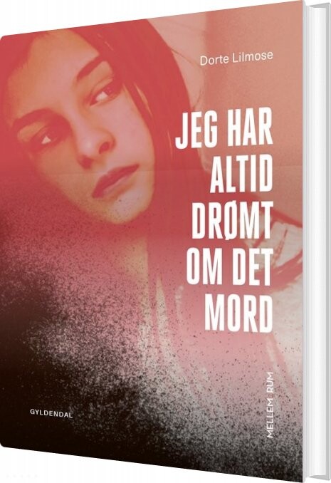 Mellem Rum Jeg Har Altid Drømt Om Det Mord Dorte Lilmose Bog