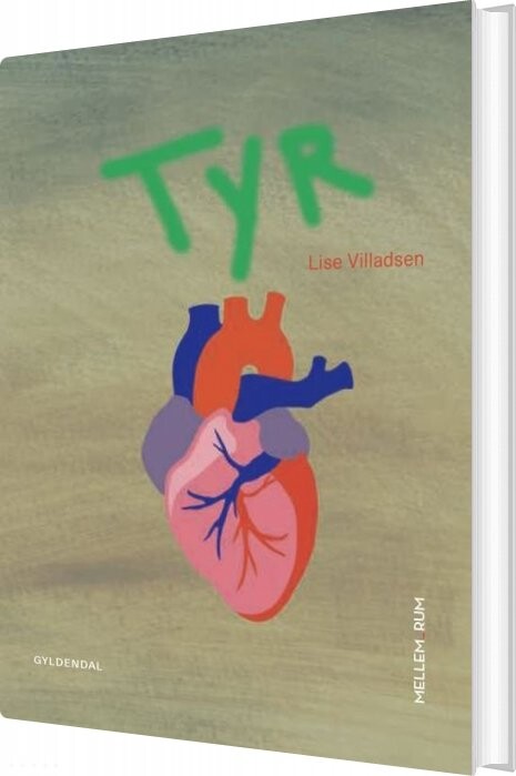 Mellem Rum Tyr Lise Villadsen Bog