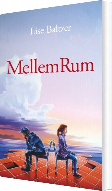 Mellemrum   Lise Baltzer   Bog