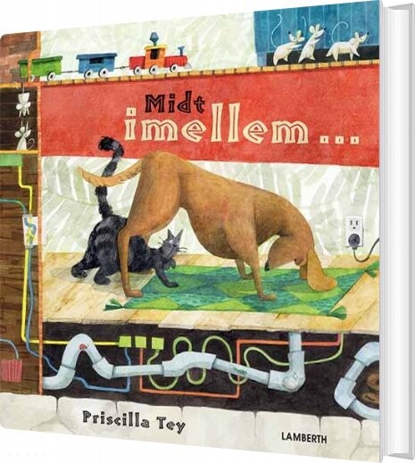 Midt Imellem   Priscilla Tey   Bog