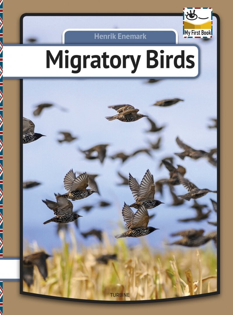 Migratory Birds   Henrik Enemark   English Book