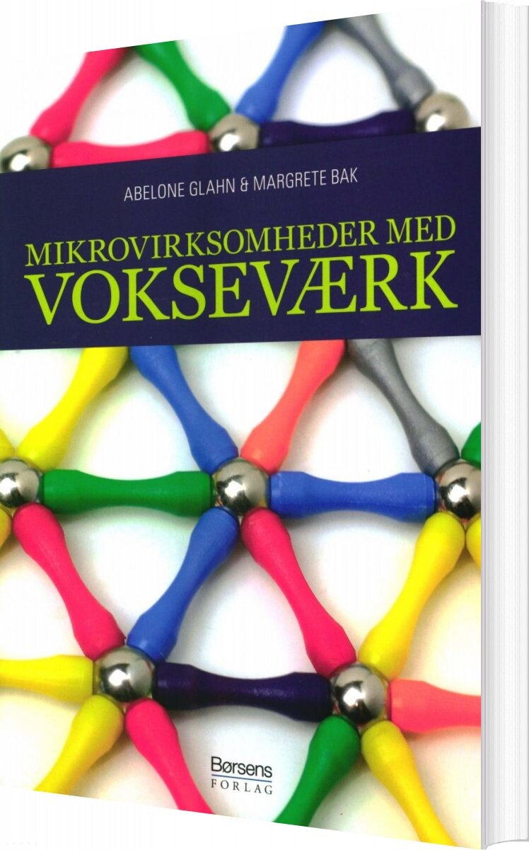 Mikrovirksomheder Med Vokseværk   Abelone Glahn   Bog