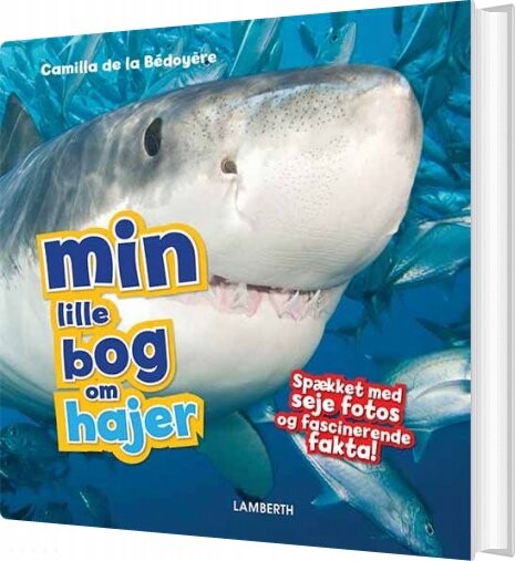 Min Lille Bog Om Hajer   Camilla De La B? Doy? Re   Bog