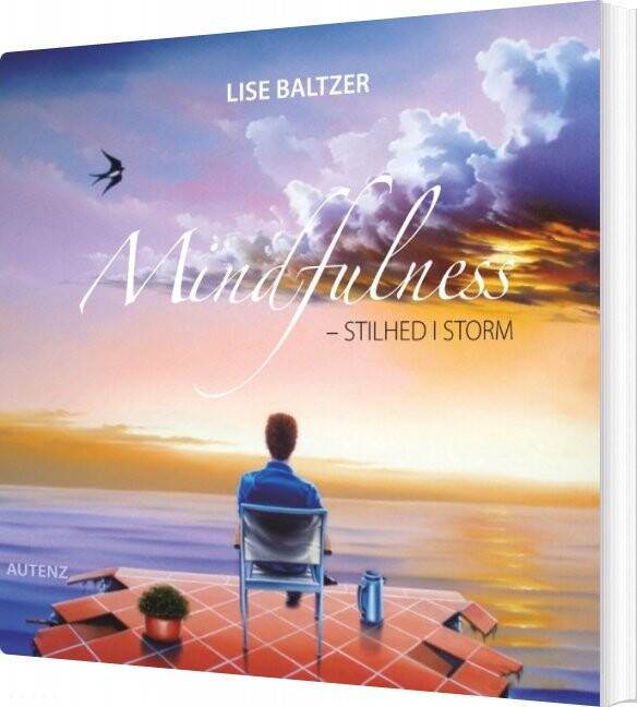 Mindfulness   Stilhed I Storm   Lise Baltzer   Bog