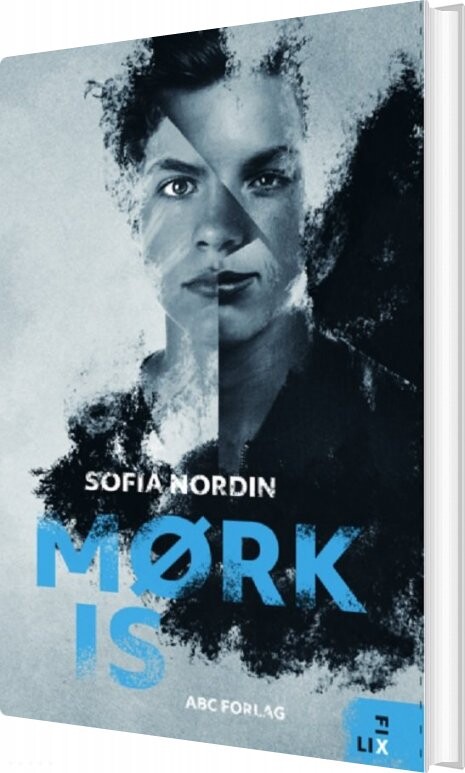 Mørk Is   Sofia Nordin   Bog
