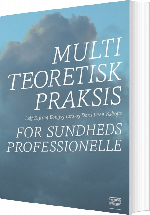 Multiteoretisk Praksis For Sundhedsprofessionelle   Dorit Ibsen Vedtofte   Bog