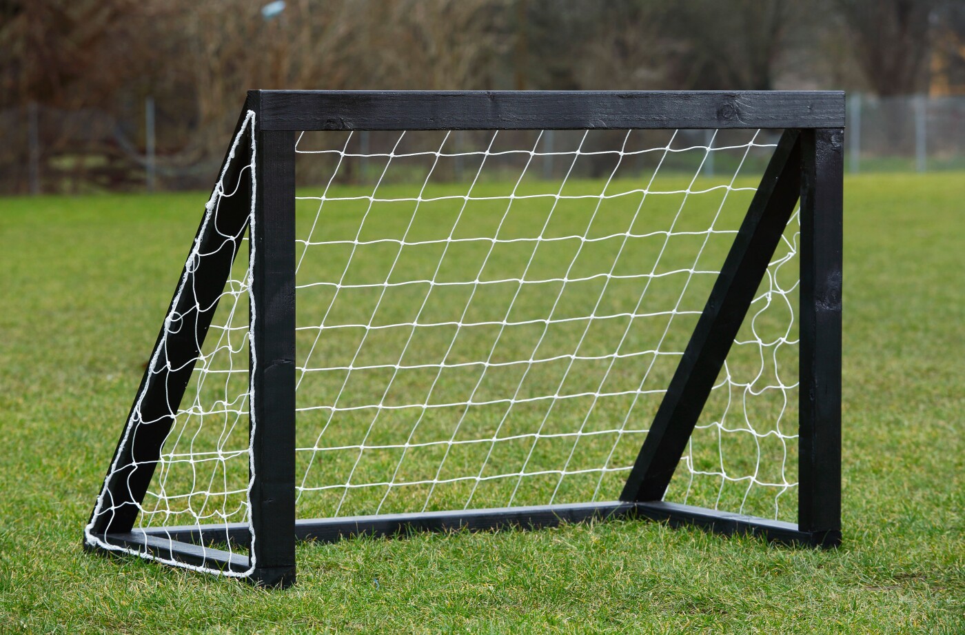 My Hood   Fodboldmål   Homegoal Pro Micro   125x100 Cm