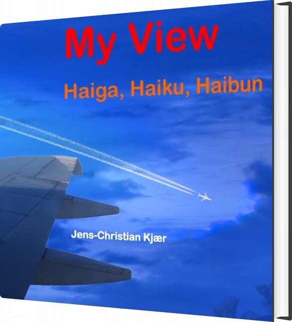 My View   Jens Christian Kjær   English Book