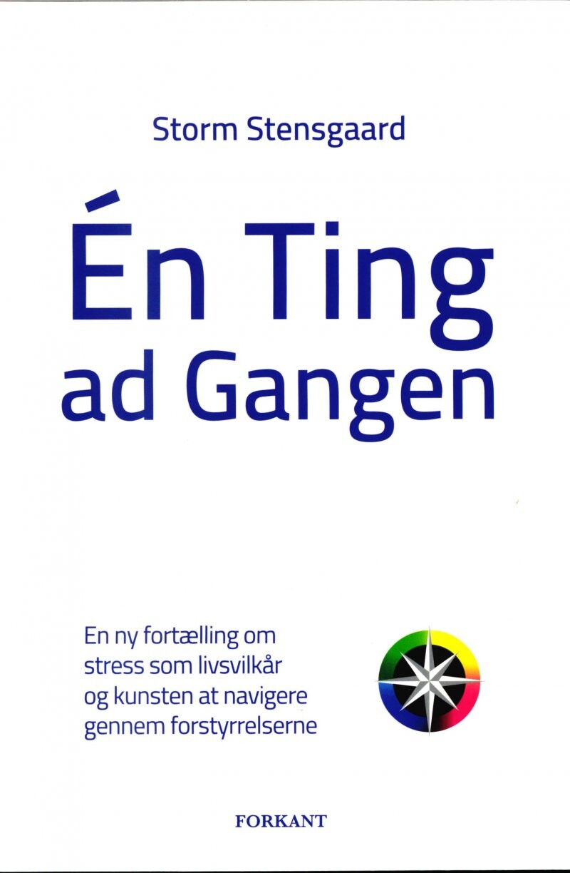 ? N Ting Ad Gangen   Storm Stensgaard   Bog