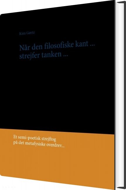 Når Den Filosofiske Kant   Kim Gørtz   Bog