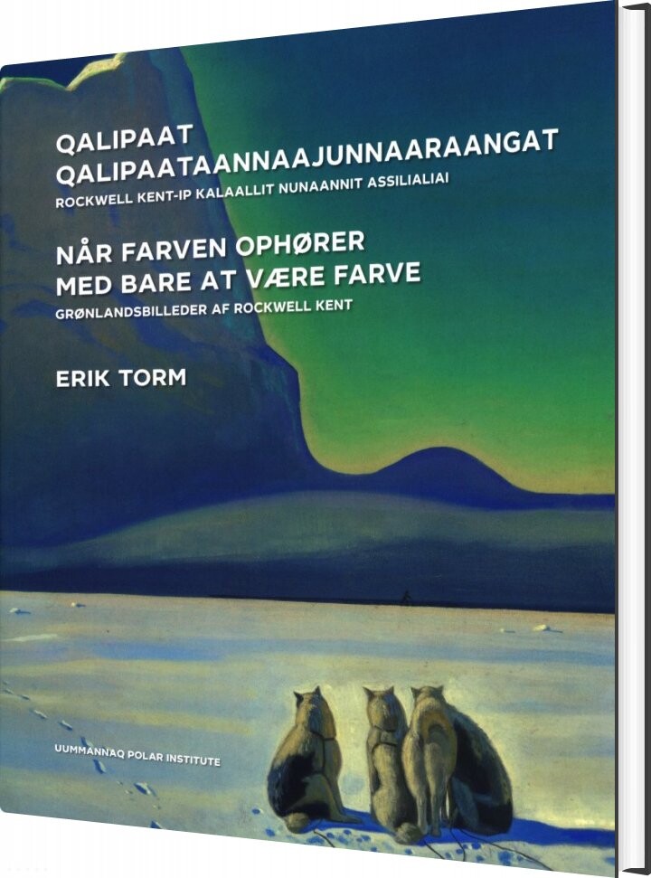 Når Farven Ophører Med Bare At Være Farve   Erik Torm   Bog