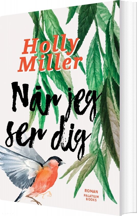 Når Jeg Ser Dig   Holly Miller   Bog