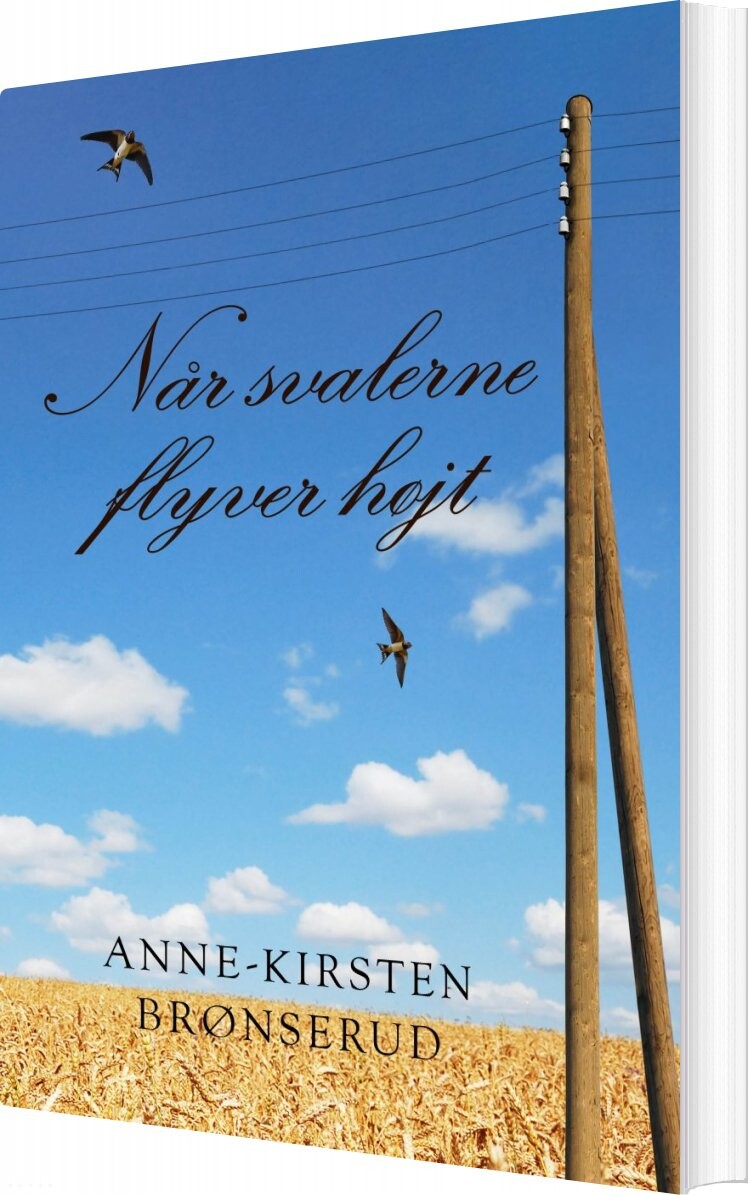 Når Svalerne Flyver Højt   Anne Kirsten Brønserud   Bog