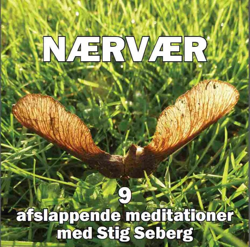 Nærvær   Stig Seberg   Bog