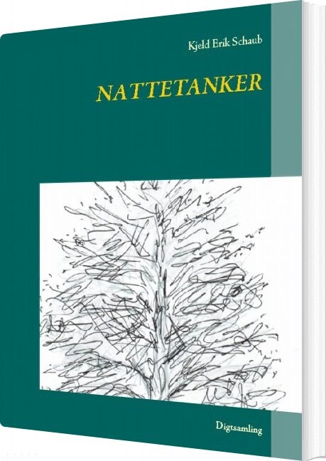 Nattetanker   Kjeld Erik Schaub   Bog