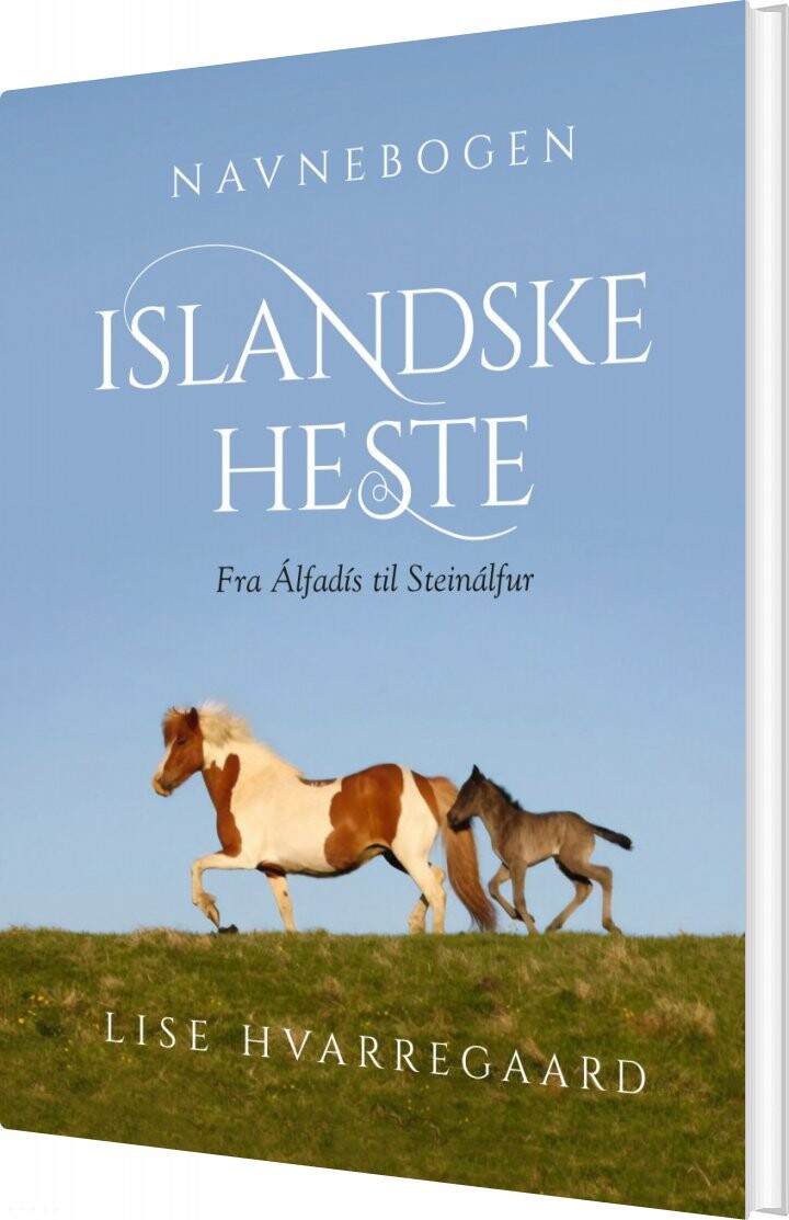 Navnebogen Islandske Heste Lise Hvarregaard Bog