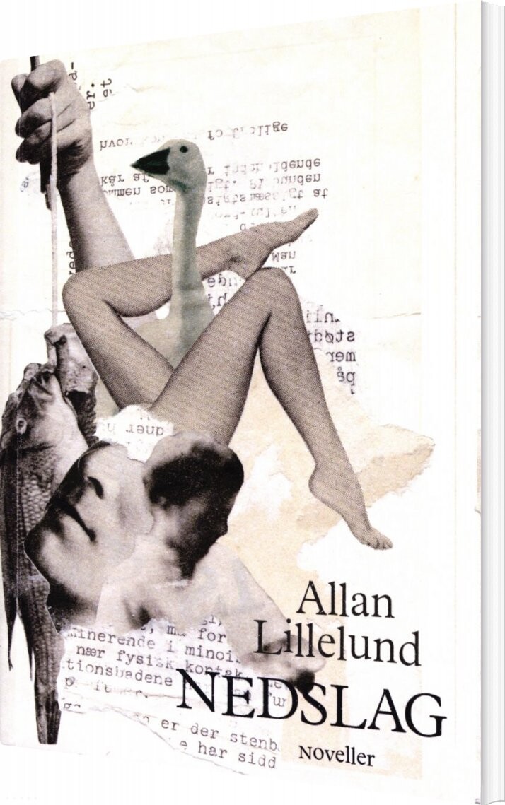 Nedslag   Allan Lillelund   Bog