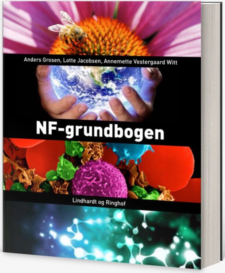 Nf Grundbogen   Lotte Jacobsen   Bog