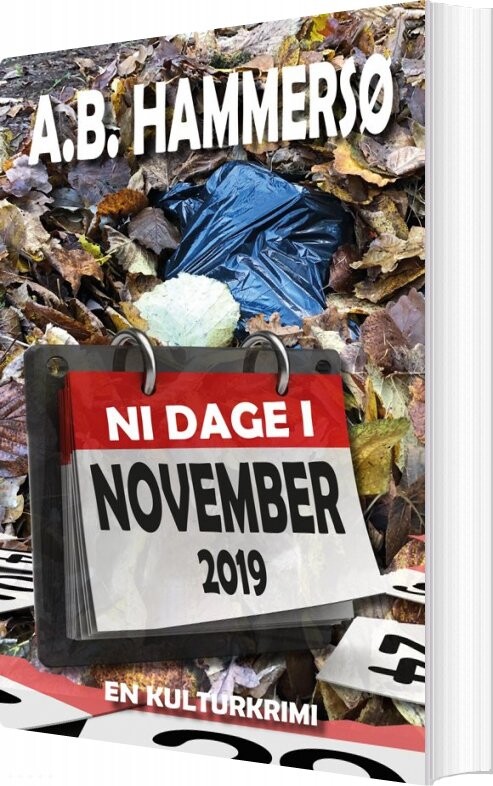 Ni Dage I November 2019   A B  Hammersø   Bog