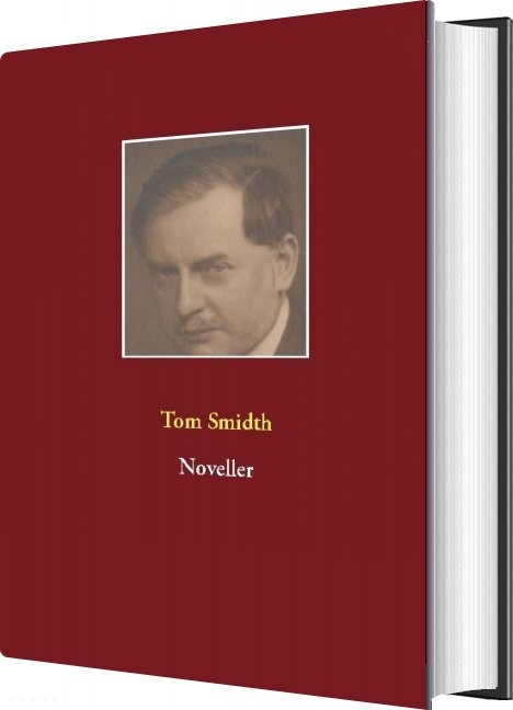 Noveller   Tom Smidth   Bog