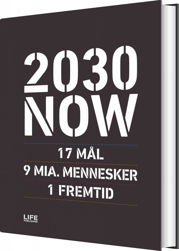 2030 Now   Dk   Susanne Sayers   Bog