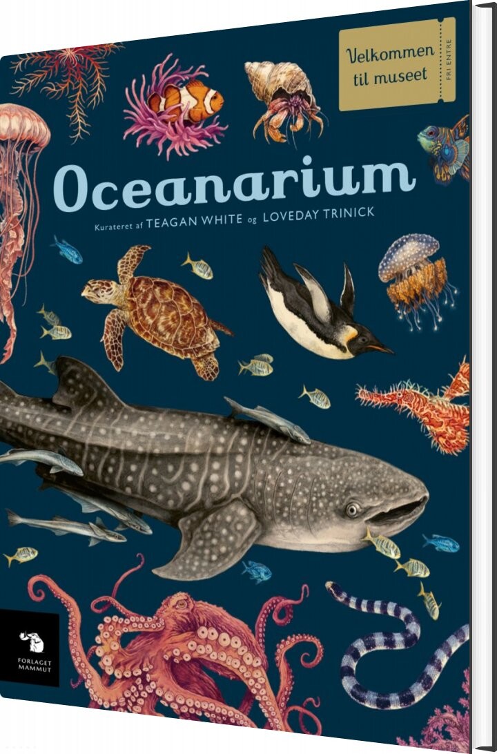 Oceanarium   Teagan White   Bog