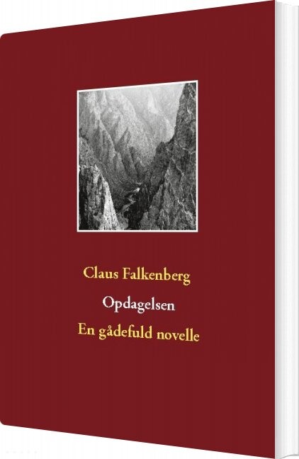 Opdagelsen   Kim Gørtz   Bog
