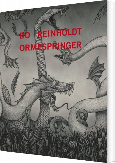 Ormespringer   Bo Reinholdt   Bog