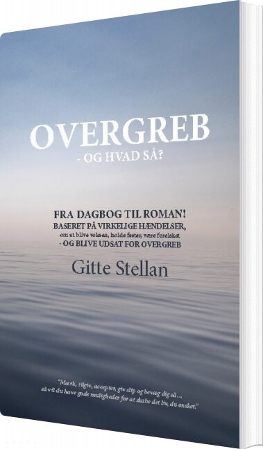 Overgreb Og Hvad Så Gitte Stellan Bog