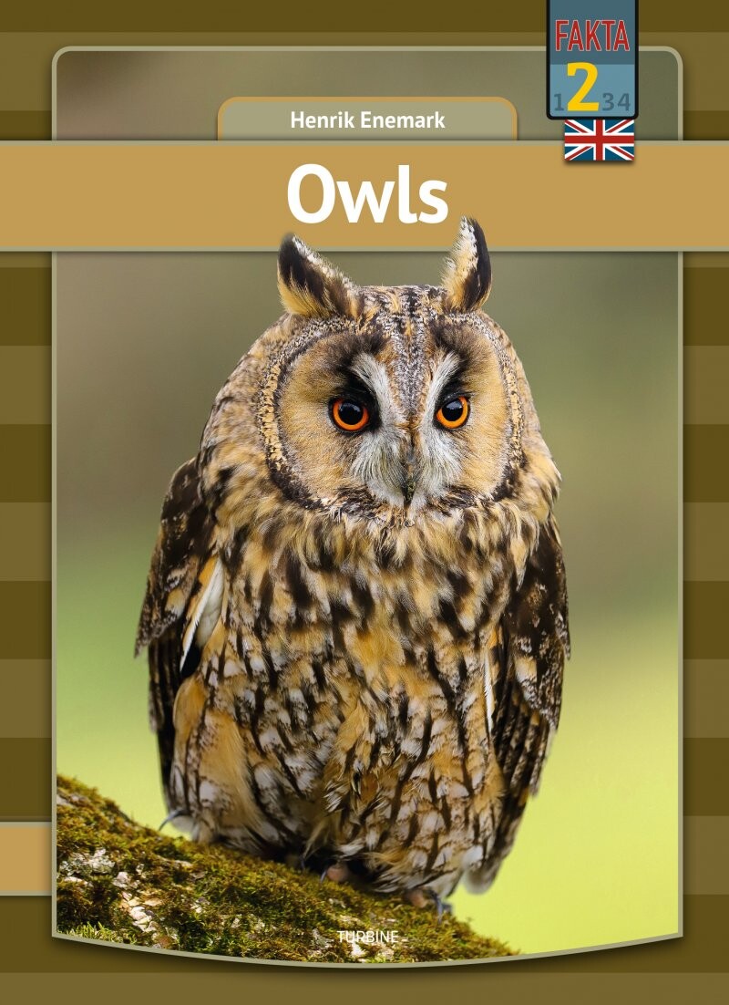 Owls   Henrik Enemark   English Book