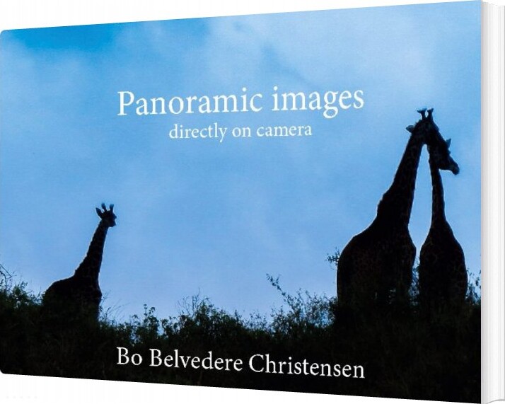 Panoramic Images   Bo Belvedere Christensen   English Book
